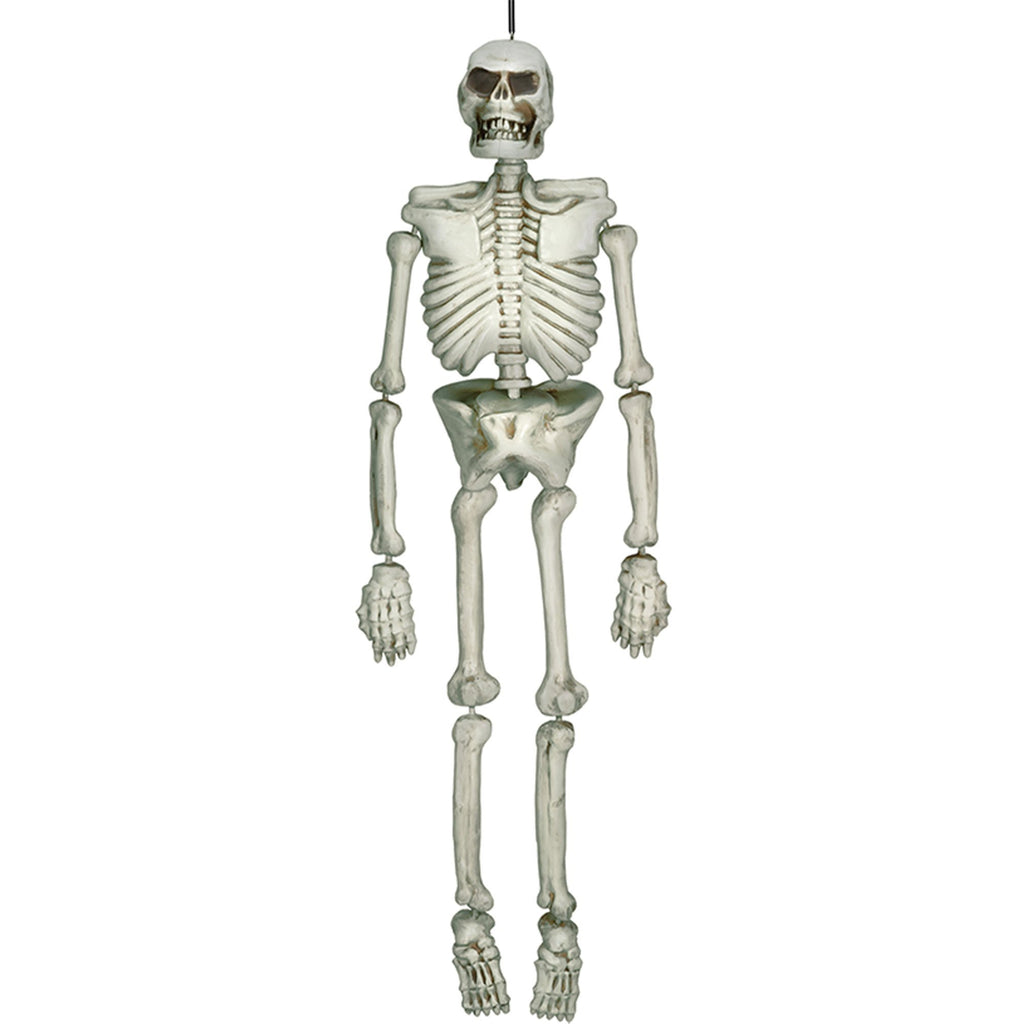 Life Size Hanging Skeleton