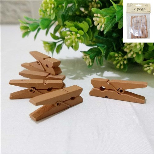 12PK KRAFT PEGS