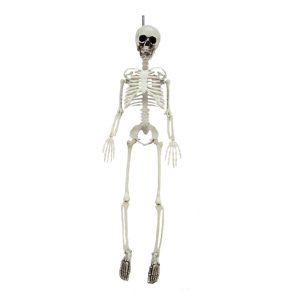 Hanging Skeleton 95cm