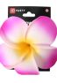 hawaiian-frangipani-flower-hai2.jpg.jpeg